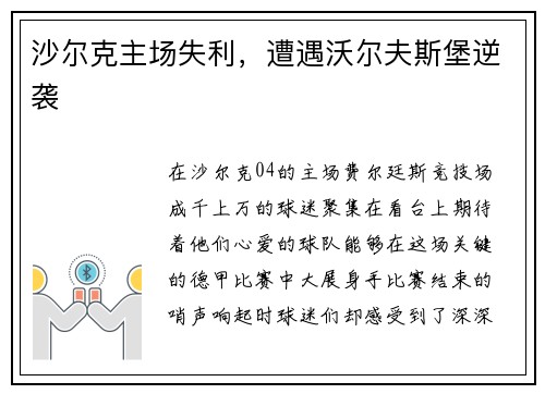 沙尔克主场失利，遭遇沃尔夫斯堡逆袭